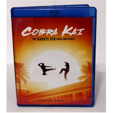 Cobra Kai - 1ª Temporada - Legendado