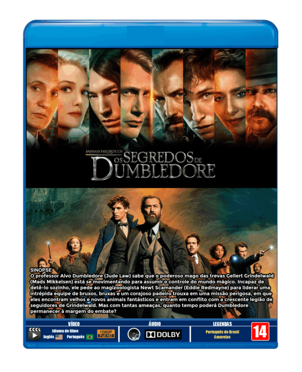 ANIMAIS FANTÁSTICOS: OS SEGREDOS DE DUMBLEDORE- 2022 - DUBLADO E LEGENDADO - Image 3