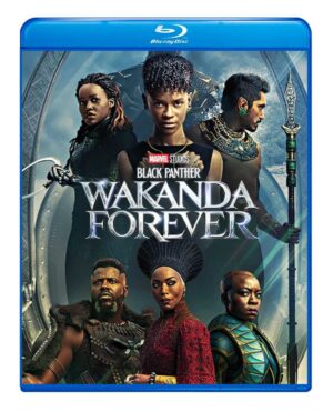 PANTERA NEGRA 2: WAKANDA PARA SEMPRE - 2022 - DUBLADO E LEGENDADO