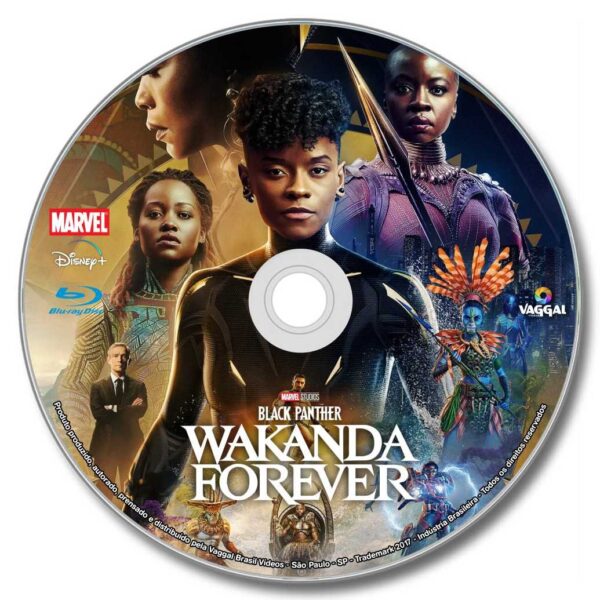 PANTERA NEGRA 2: WAKANDA PARA SEMPRE - 2022 - DUBLADO E LEGENDADO - Image 2