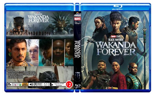 PANTERA NEGRA 2: WAKANDA PARA SEMPRE - 2022 - DUBLADO E LEGENDADO - Image 4