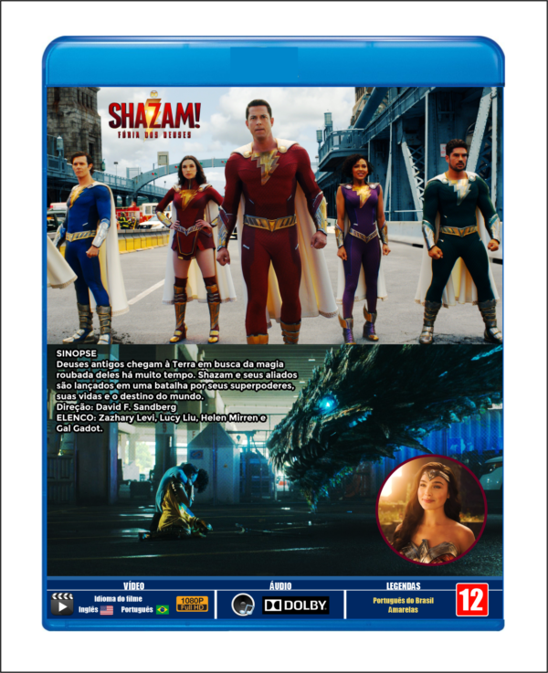 SHAZAM! FÚRIA DOS DEUSES - 2023 - DUBLADO E LEGENDADO - Image 3