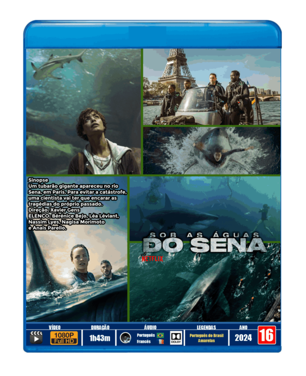 SOB AS ÁGUAS DO SENA - 2024 - DUBLADO E LEGENDADO - Image 3