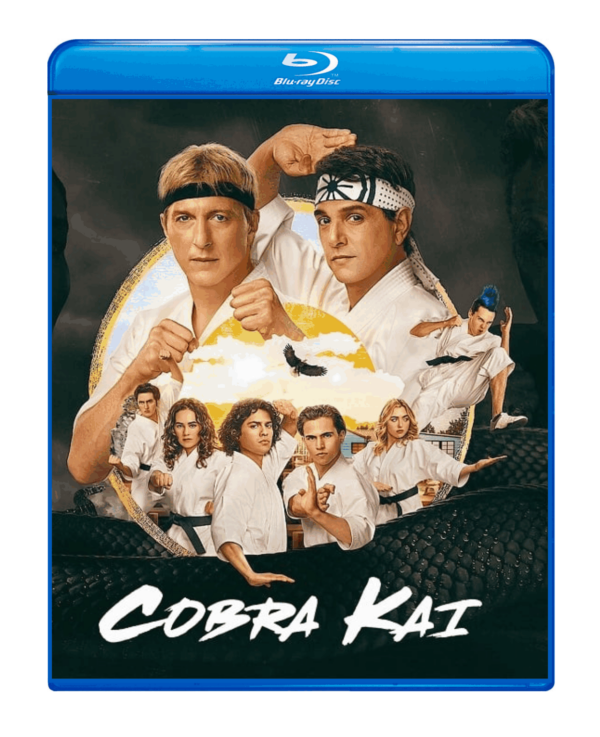 COBRA KAI - 6ª TEMPORADA - DUBLADO E LEGENDADO (DISCO DUPLO)