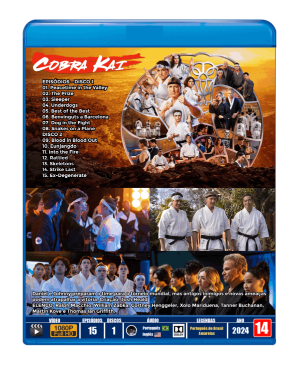 COBRA KAI - 6ª TEMPORADA - DUBLADO E LEGENDADO (DISCO DUPLO) - Image 4