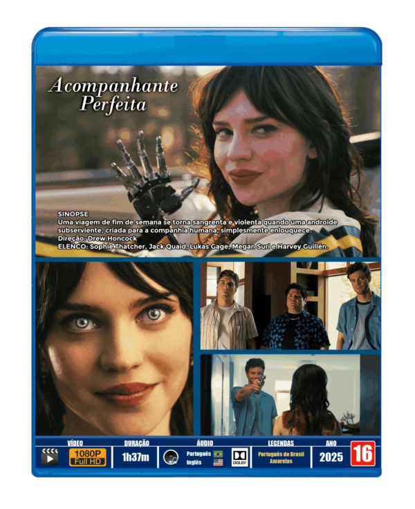 ACOMPANHANTE PERFEITA - 2025 - DUBLADO E LEGENDADO - Image 3