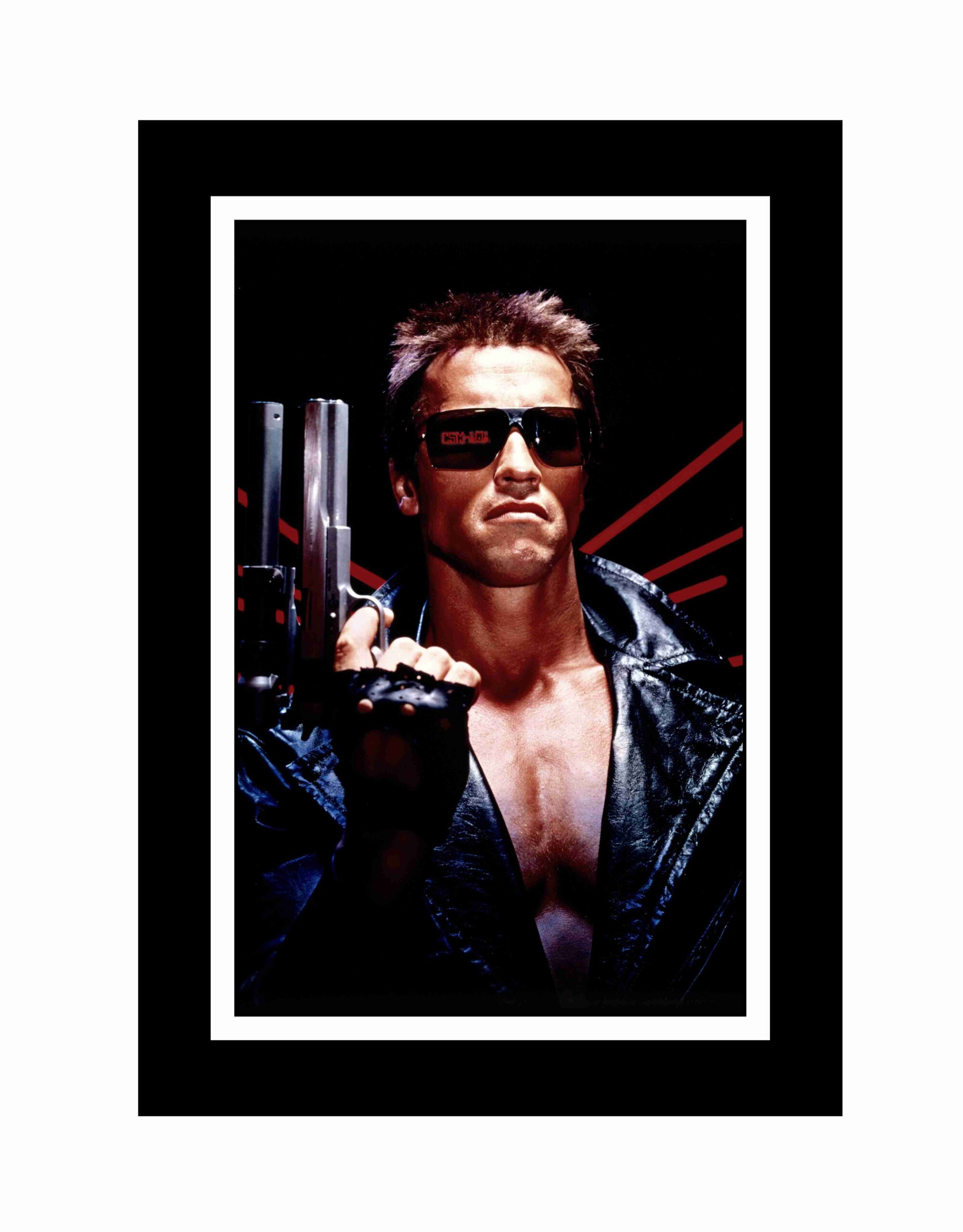 O EXTERMINADOR DO FUTURO - PLACA DECORATIVA LAMINADA - 19x28cm